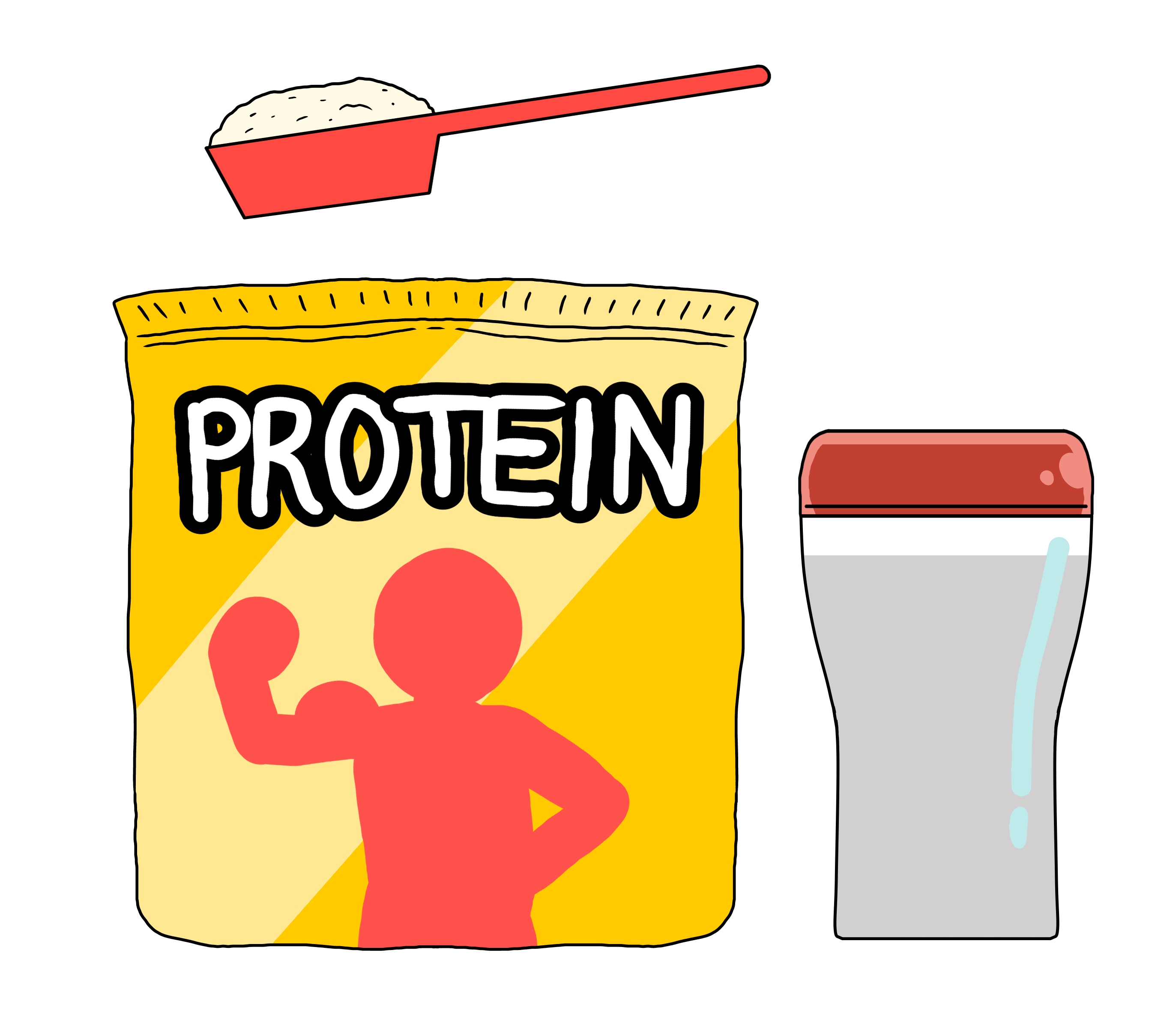 운동 전과 후에 단백질 섭취 권장량과 섭취시간