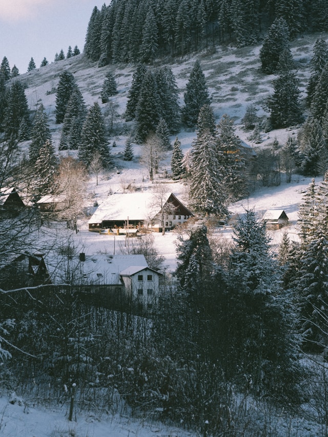 과천 국립과학관 겨울방학 과학교실 신청 꿀팁