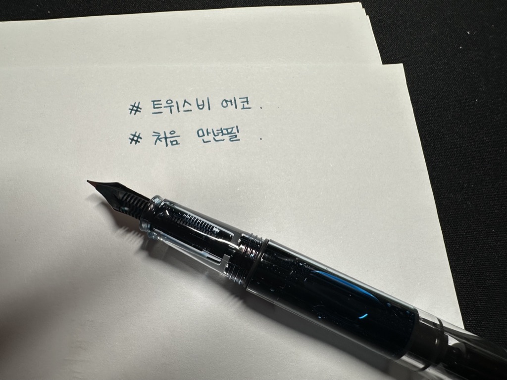 만년필 사용