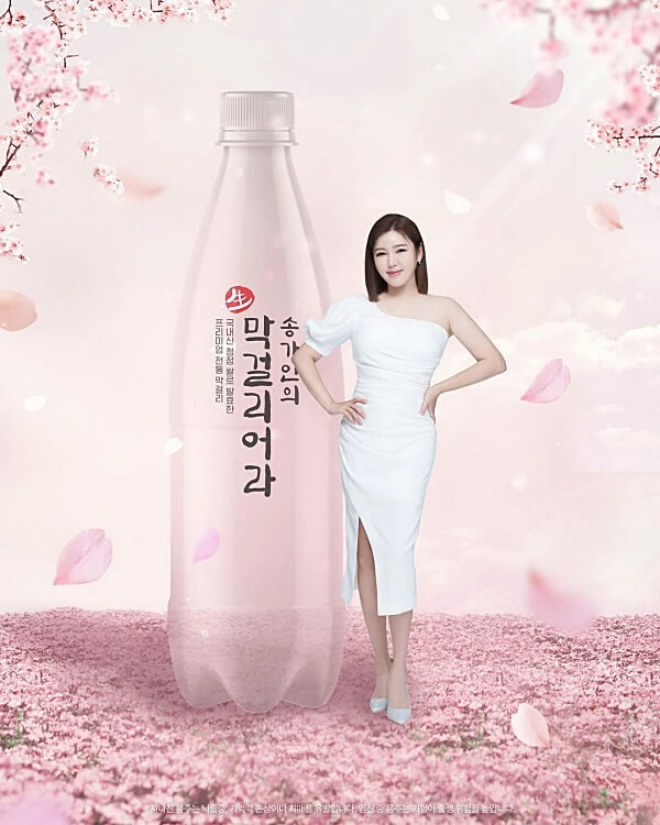 송가인-막걸리-출시