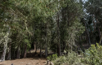 Haleakalā National Park