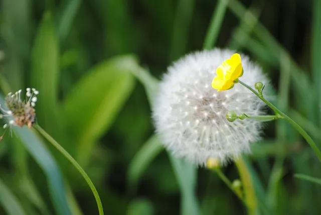 HWPX를 HWP로 변환 방법에 대한 변환가이드_8