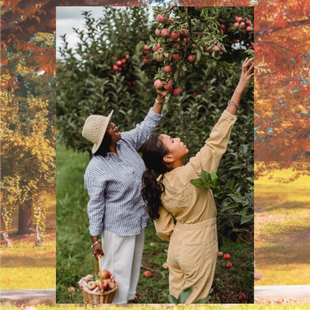 여주와 관련된 사진입니다.