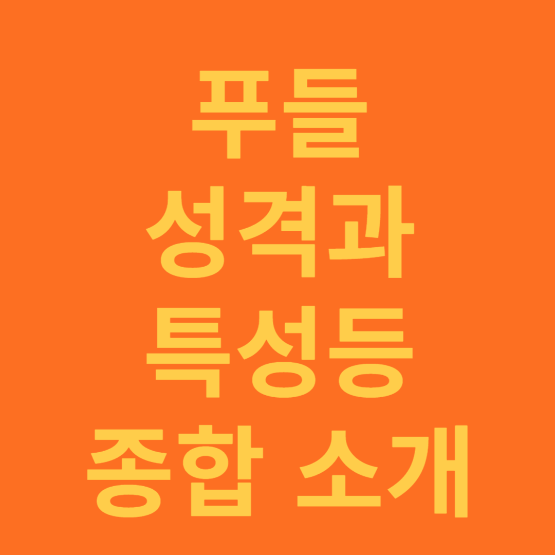 푸들 성격과 특성, 종합 소개