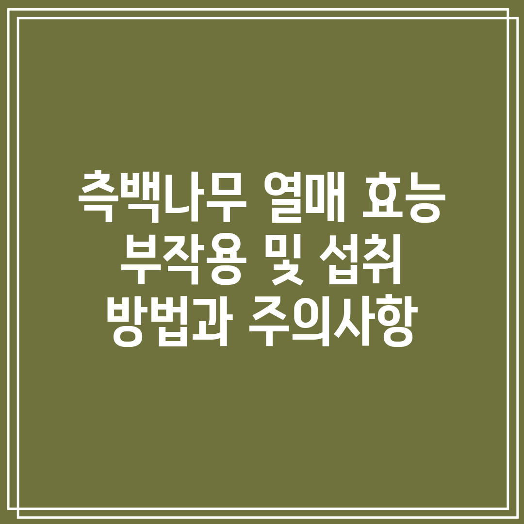 측백나무 열매 효능 부작용 및 섭취 방법과 주의사항