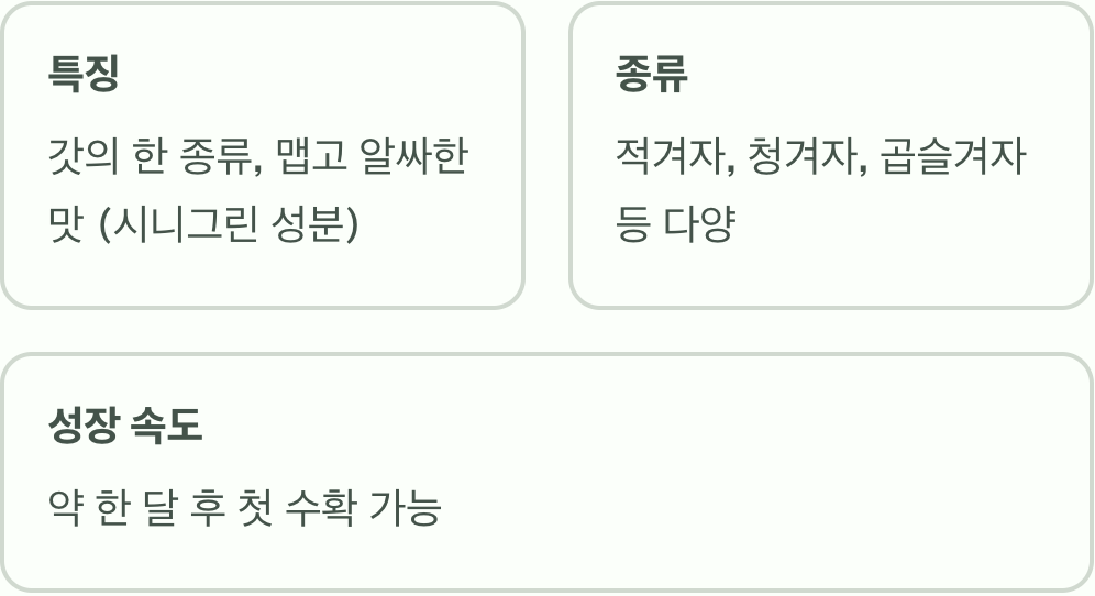 겨자잎, 어떤 채소일까요?