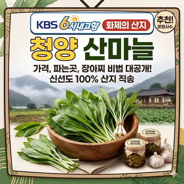 6시내고향 청양 산마늘 썸네일