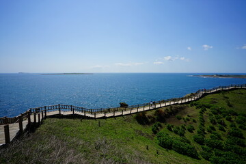제주도 여행 필수품 탐나는전