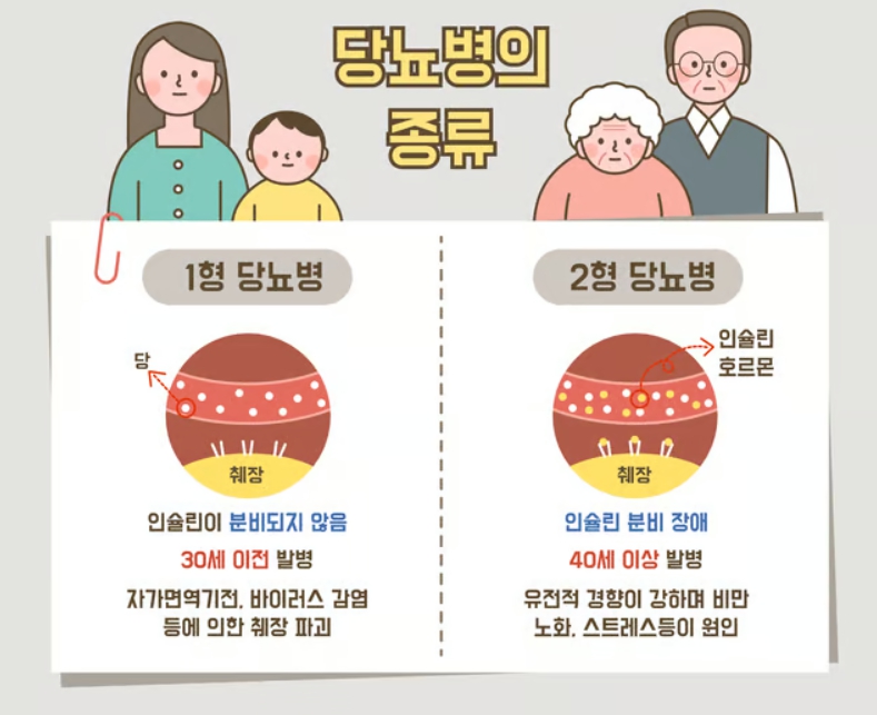 1당뇨와 2당뇨의 특징 이미지