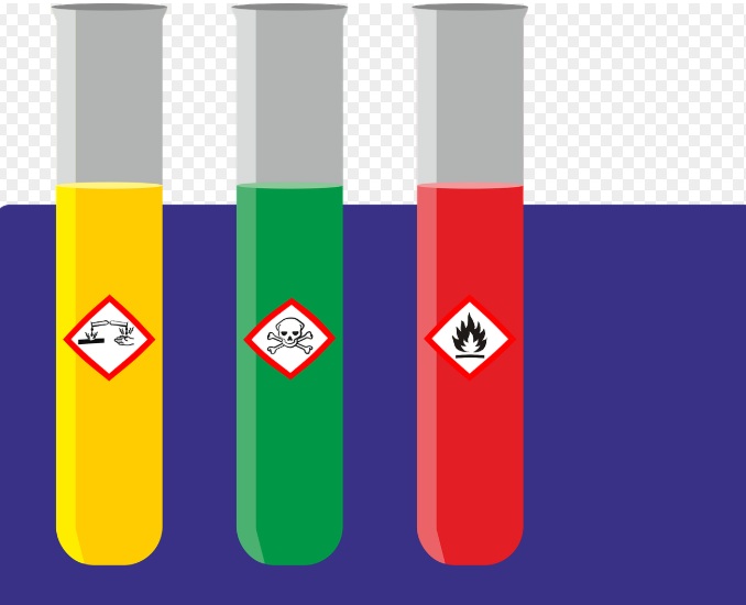 암이 생기는 진짜 이유? 면역력이 무너졌기 때문입니다