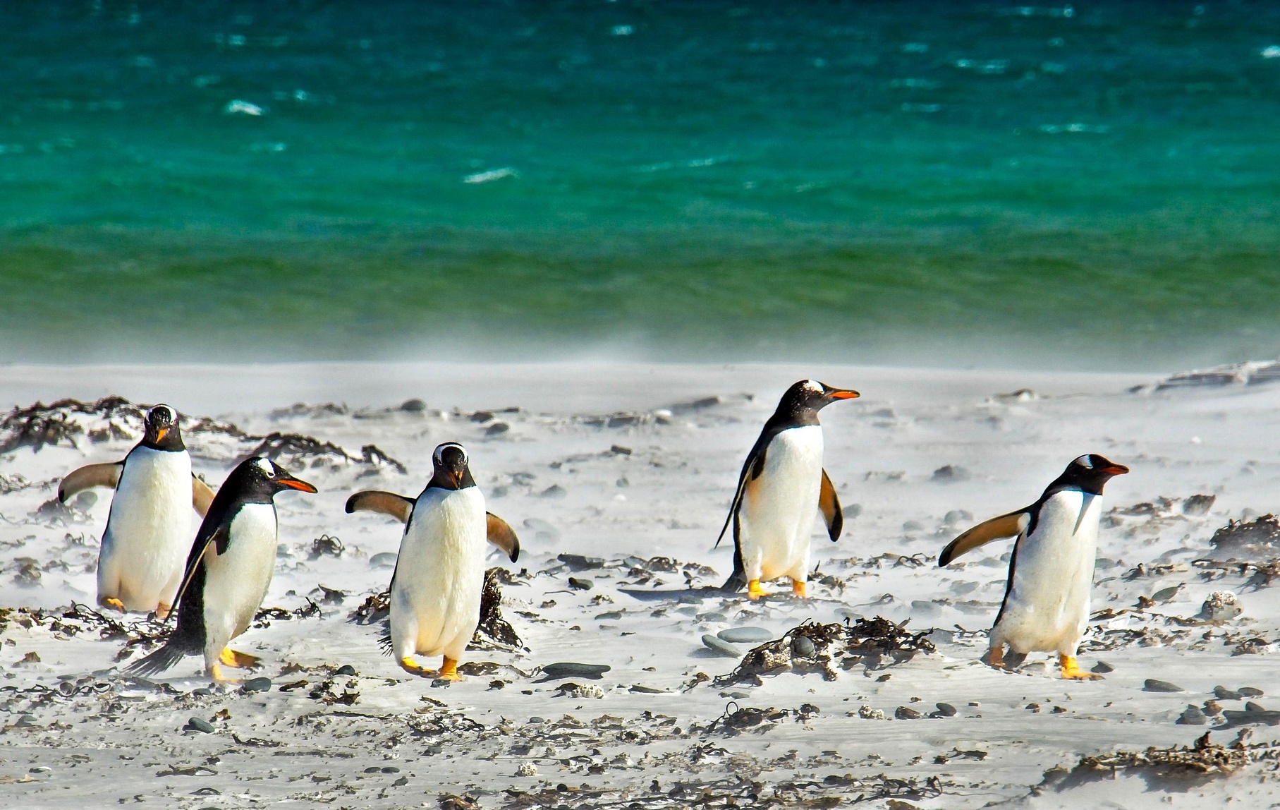 기후 위기는 왜 ‘교육과 노동시장’부터 무너뜨리는가?