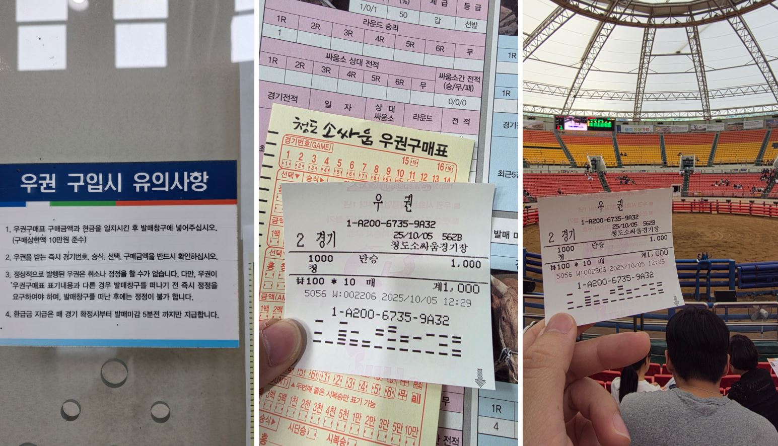 청도 소싸움 경기장