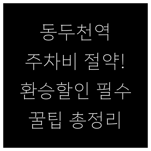 동두천역 노상 주차장 요금 체계 및 ..