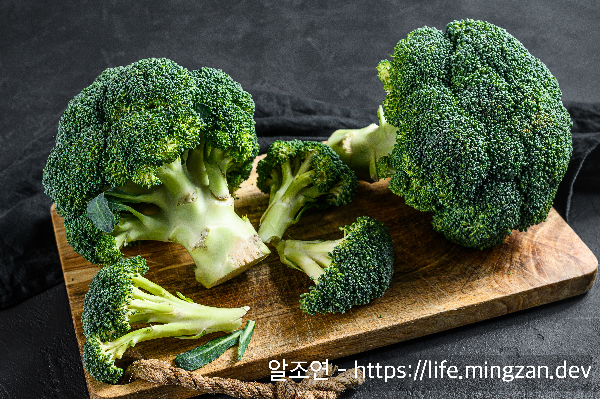 다이어트 대표 음식 브로콜리