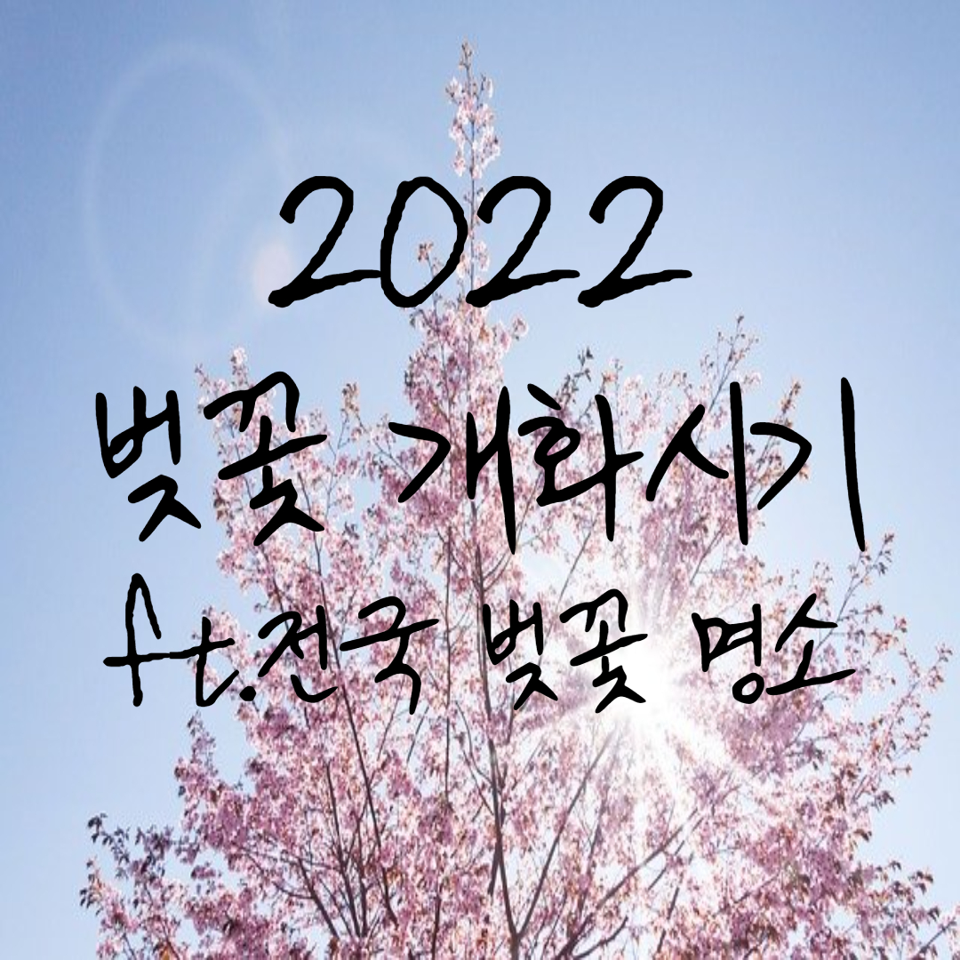 벚꽃 개화시기 2022