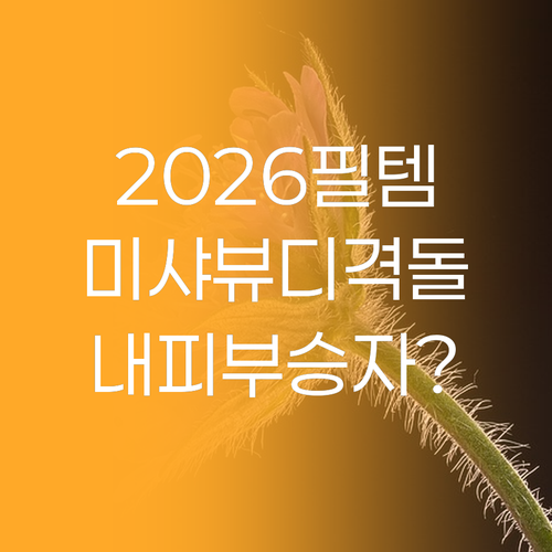 2026 승무원 쿠션 인기 4종 총정..