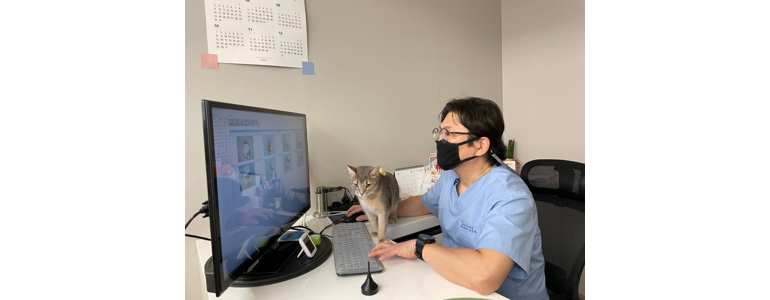 서울 금천구 동물병원