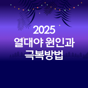 2025 열대야원인과 극복방법