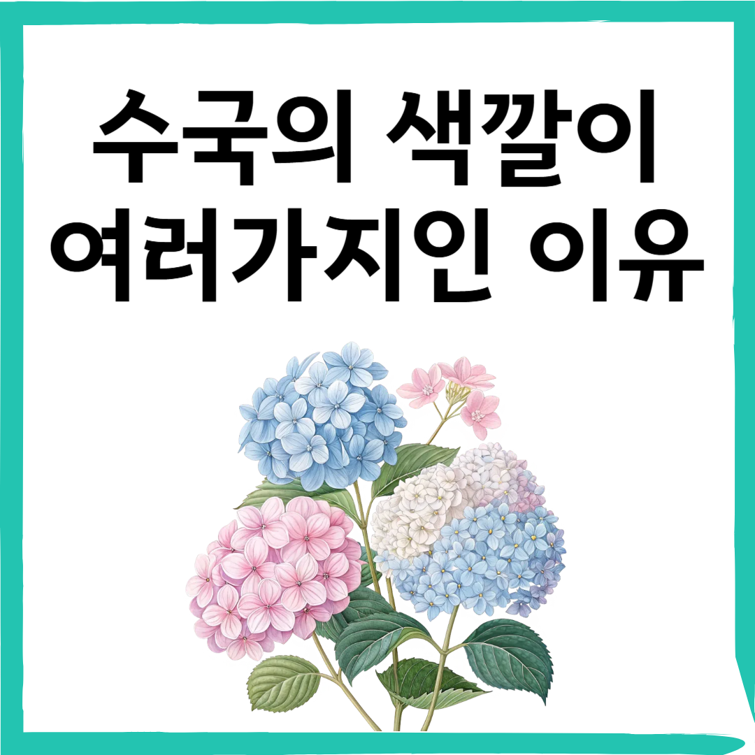 수국 색이 흙에 따라 바뀐다? 색깔별 꽃말까지 한눈에 정리!