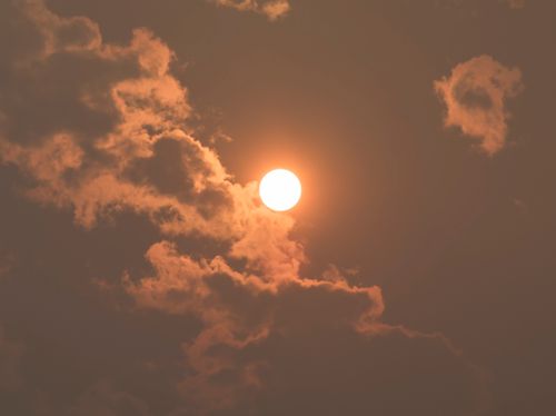 여름밤 어지럼증 왜 생길까? 열대야가 몸에 주는 변화