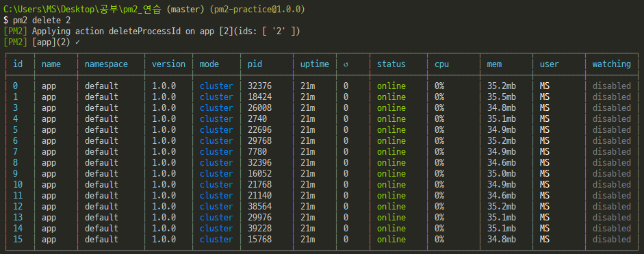 nodejs-pm2