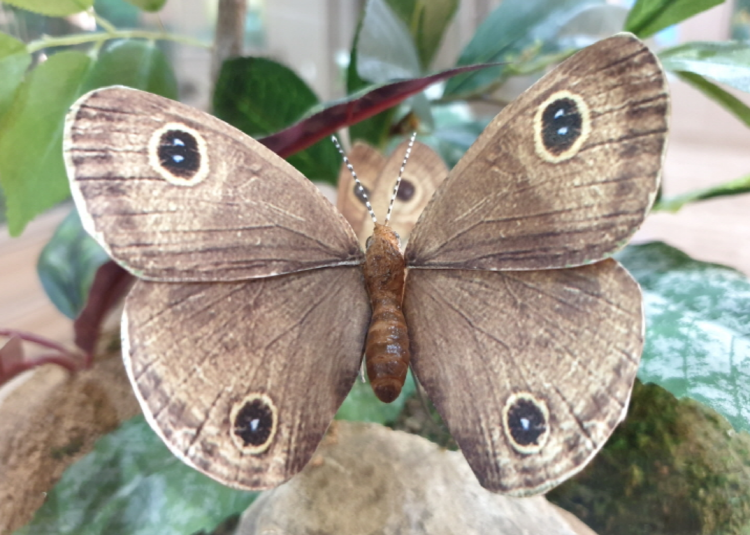 부천 자연생태공원