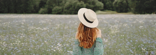 곰믹스 맥스 바로가기