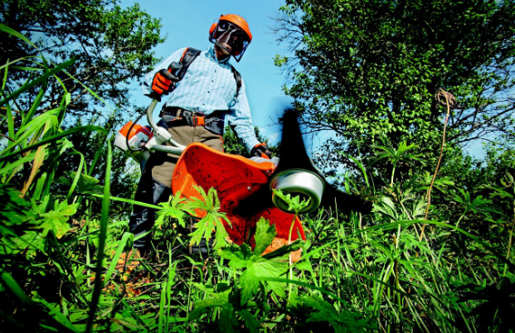 예초기 다루는 모습