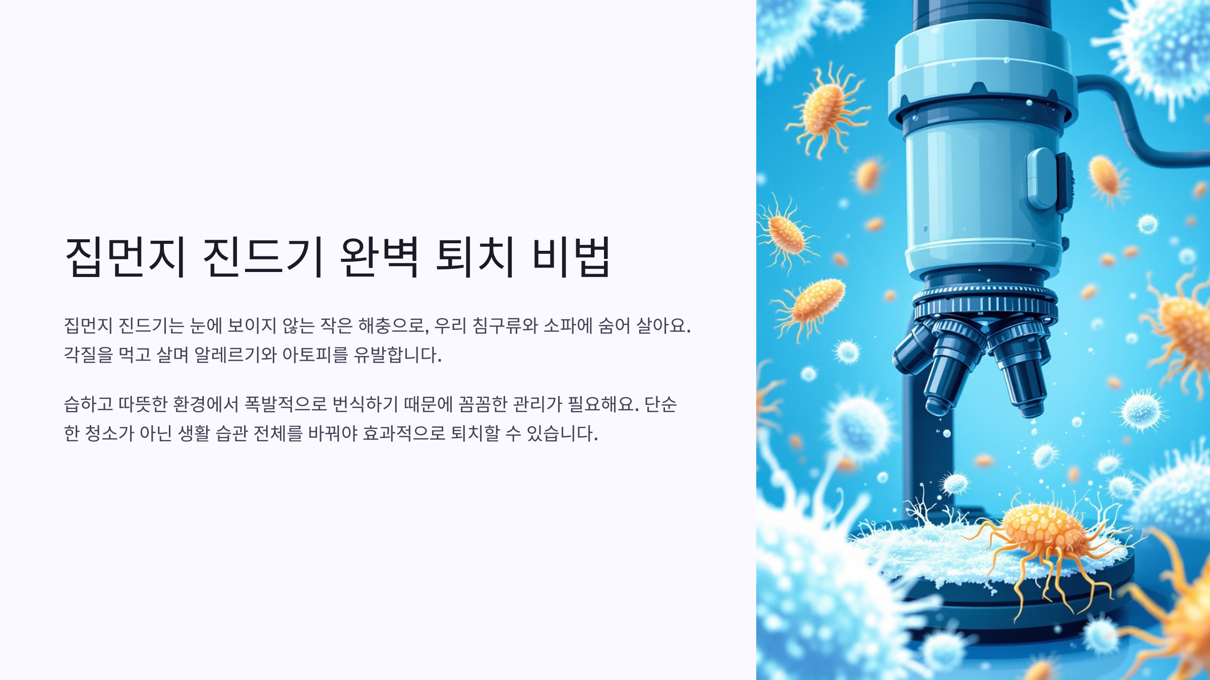 집먼지 진드기 완벽 퇴치 비법 총정리