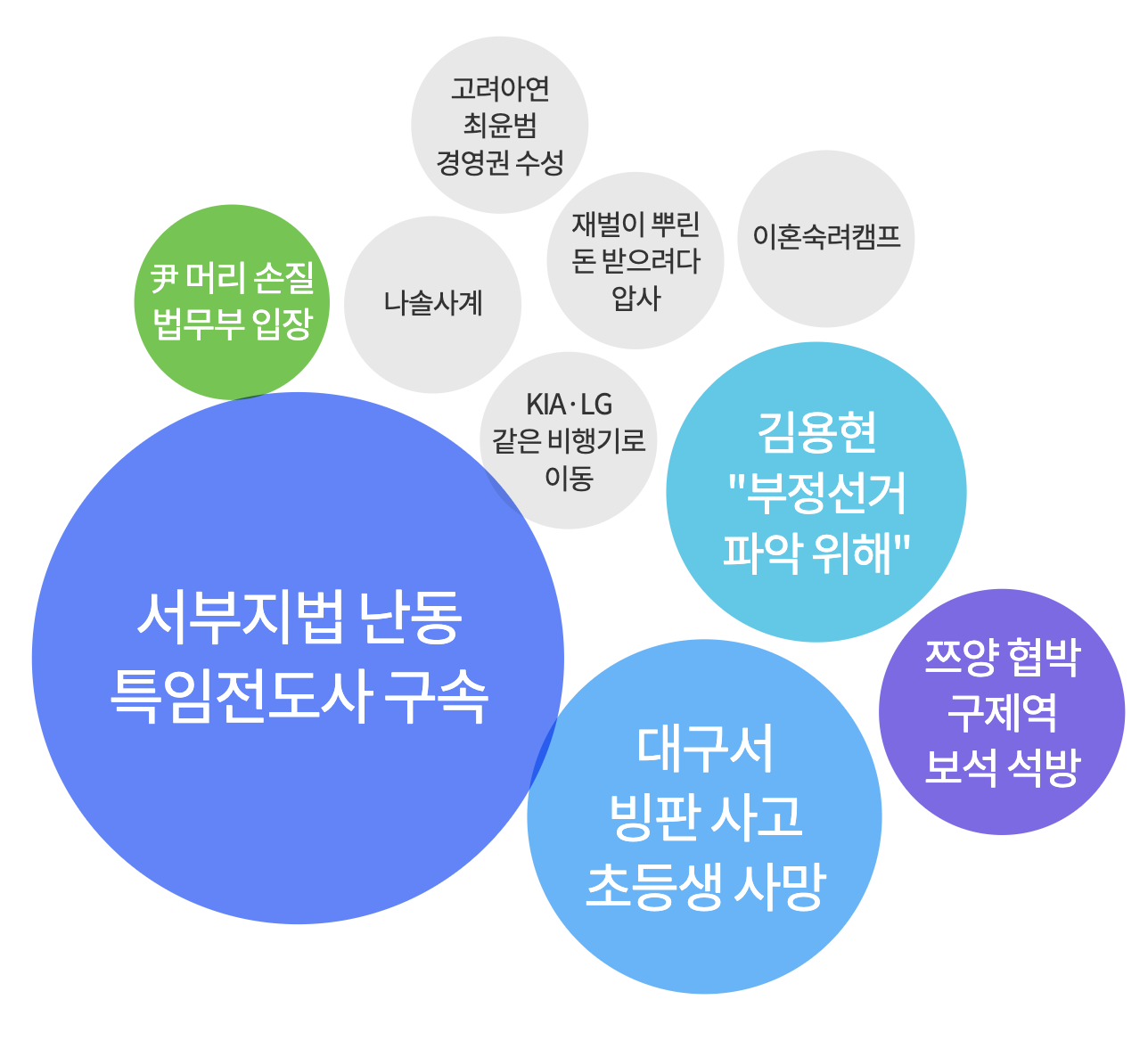 서부지법 난동 특임전도사 구속