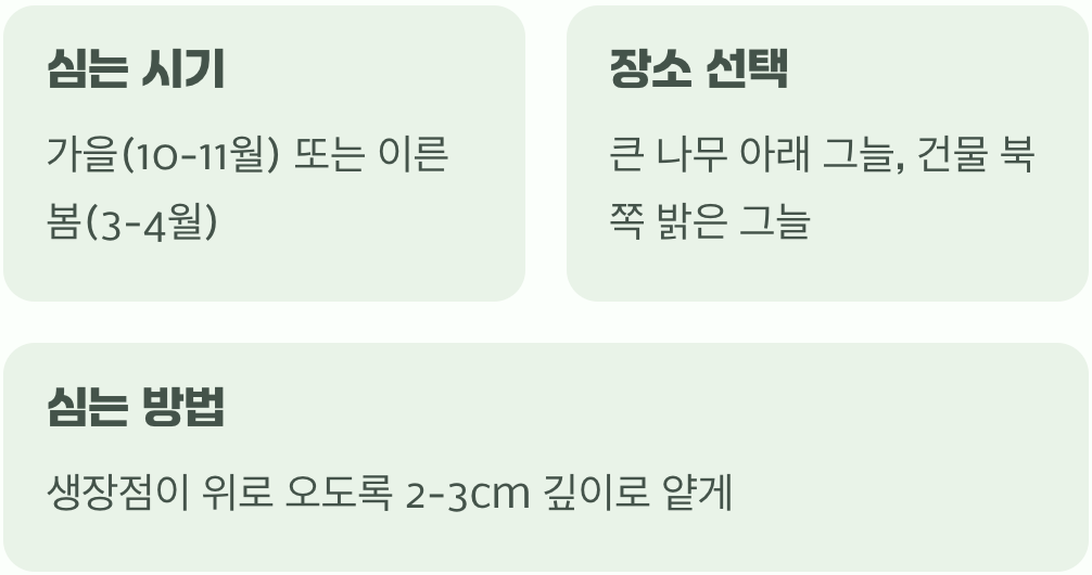 첫 만남&amp;#44; 뿌리 심기와 자리 잡기