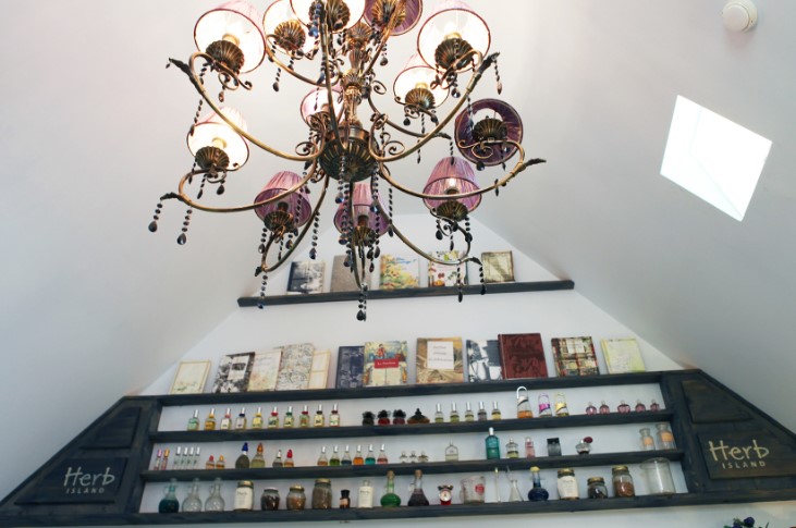 포천 허브 아일랜드 펜션