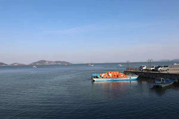 생생정보 대결 맛 대 맛 육개장 즉석 만두전골 vs 활낙지 해물 칼국수