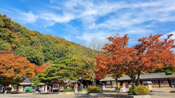 수원&middot;용인 단풍 명소 BEST 5 : 광교호수공원&middot;수원화성&middot;용인민속촌&middot;에버랜드&middot;용인자연휴양림