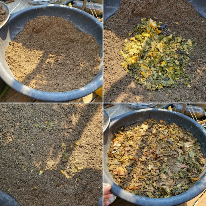 발효된-음식물쓰레기-화분-흙에-묻기