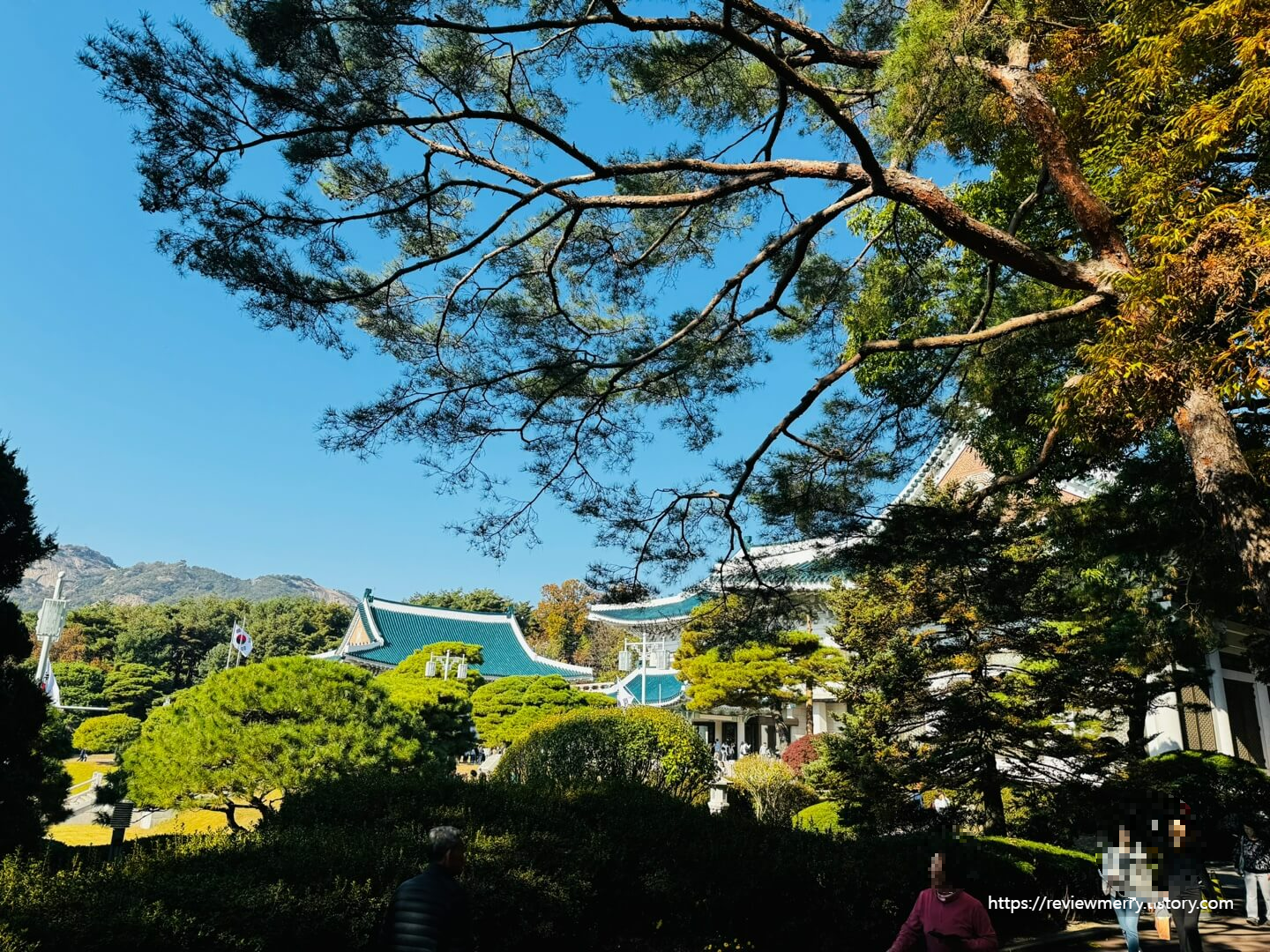 청와대, 산 풍경