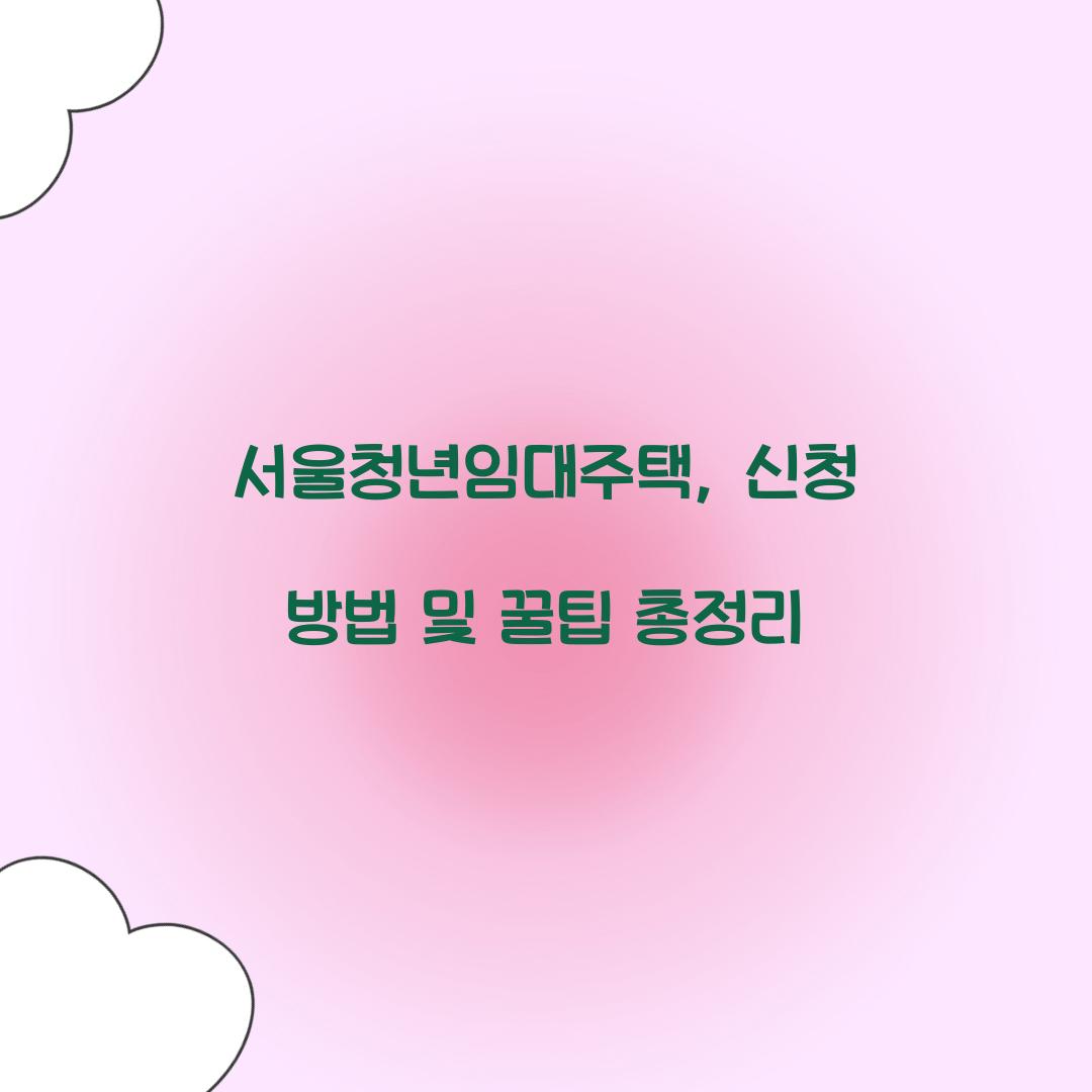 서울청년임대