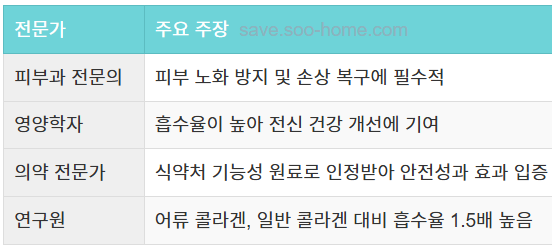 전문가의 의견