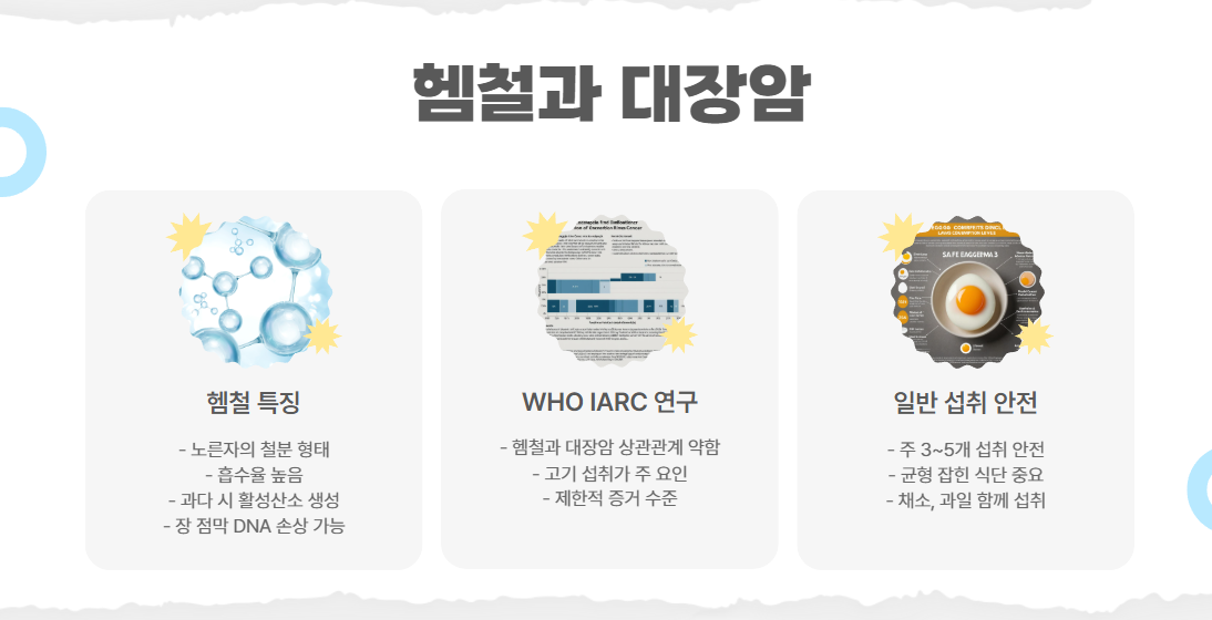 헴철과 대장암 가능성