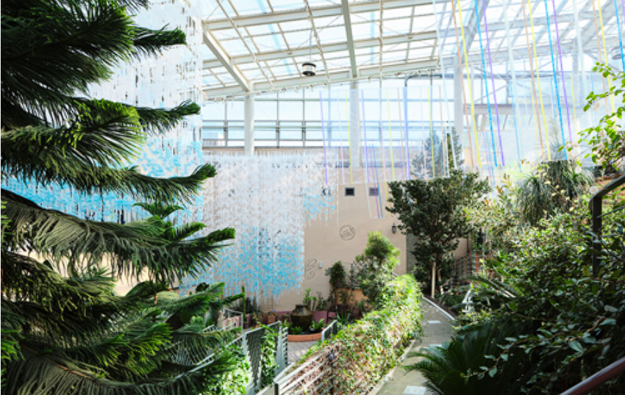 안산 식물원 매화&amp;#44; 카페 정보