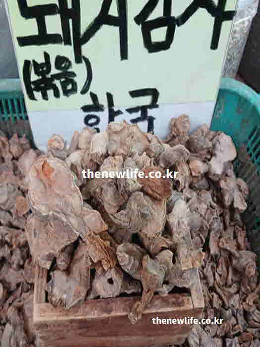 돼지감자 효능 요리 샐러드 무침