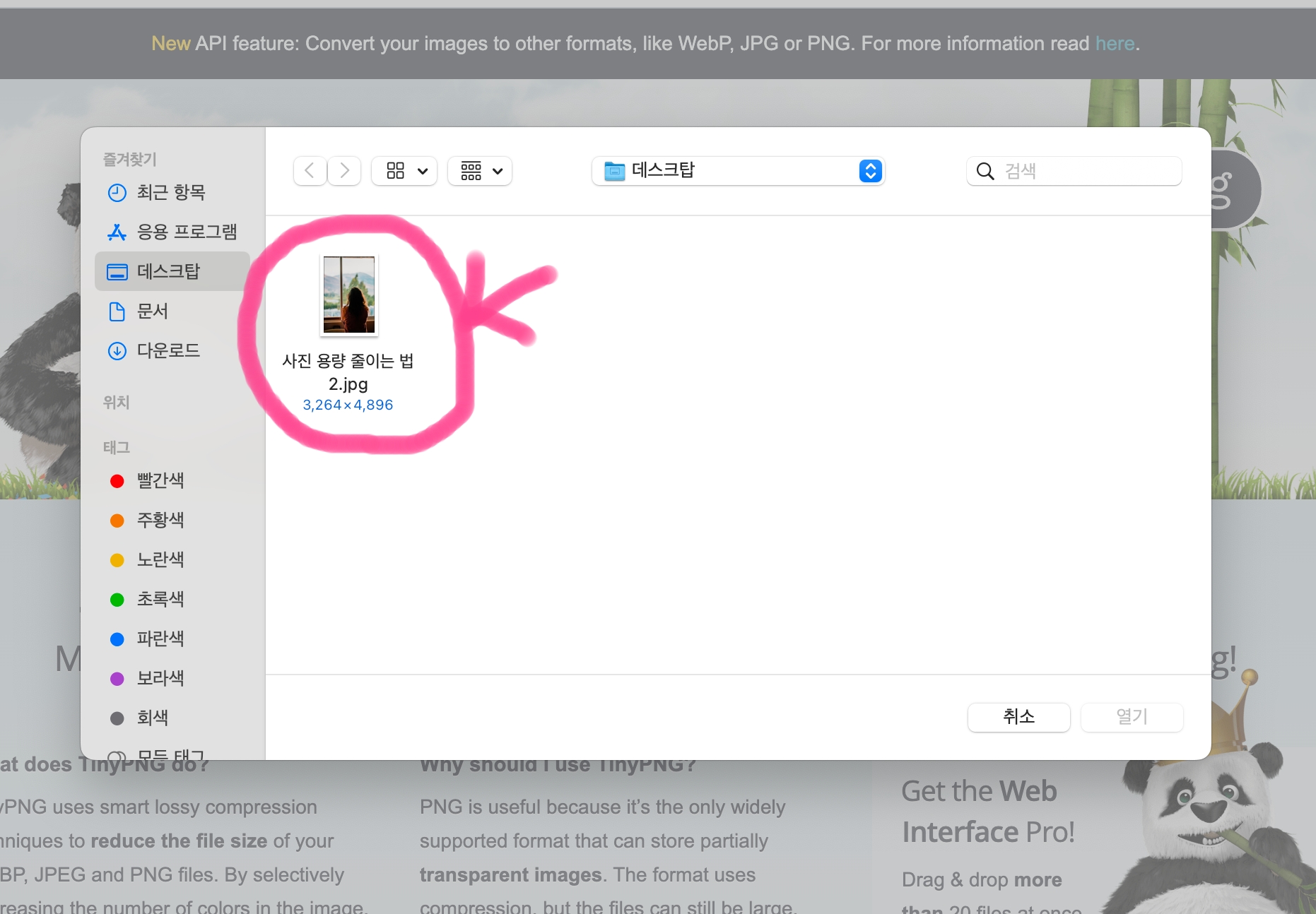 사진 용량을 줄이고 싶은 사진을 클릭해 줍니다.