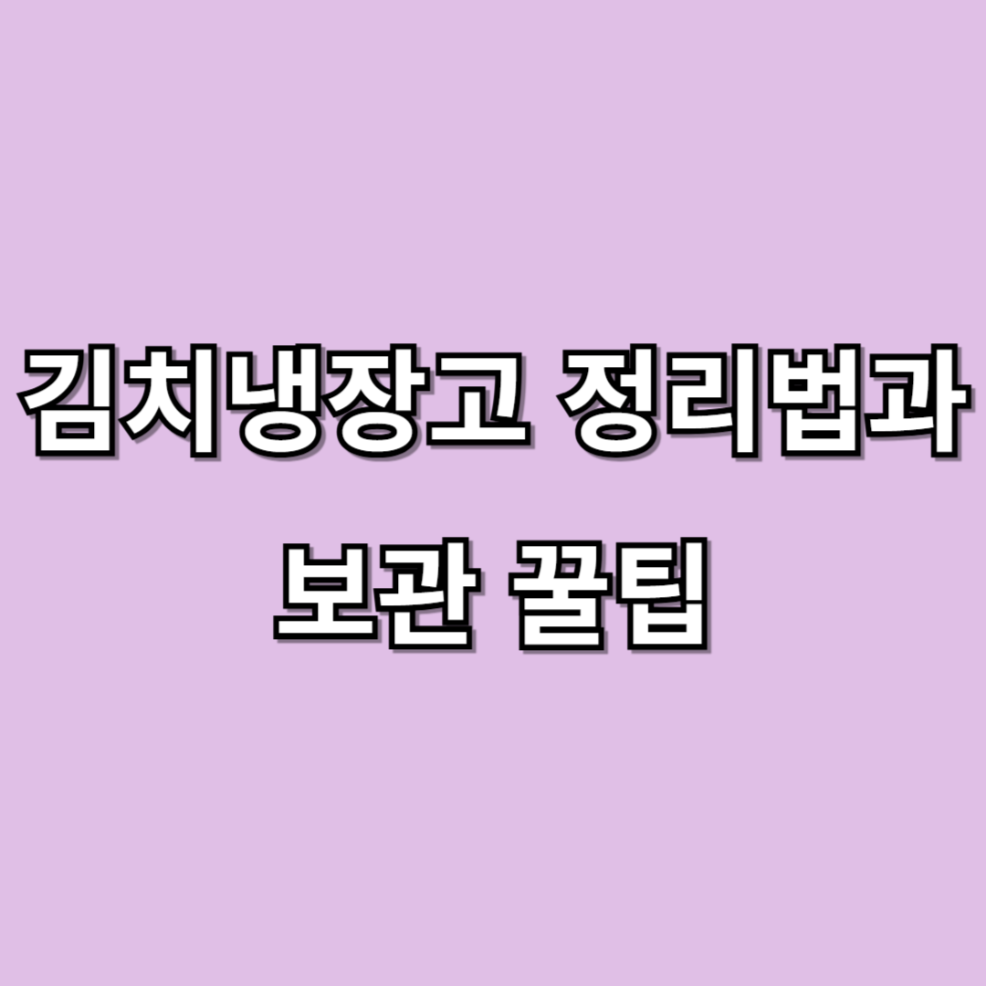 김치냉장고 정리법과 보관 꿀팁