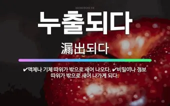 새어나오다 세어나오다 맞춤법 뜻 유래_10