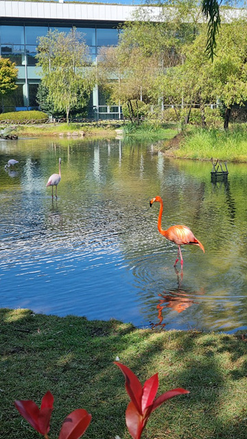 순천만국가정원 어린이 동물원 서문 순천여행 24년 11월 사진