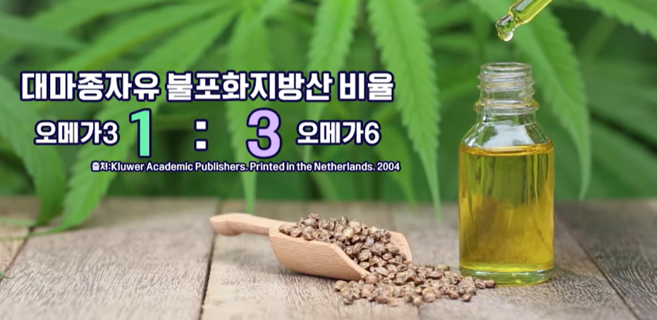 대마종자유 효능