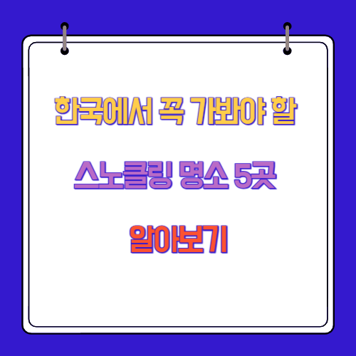 한국에서 꼭 가봐야 할 스노클링 명소 5곳 알아보기