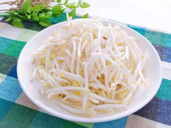 숙주나물 효능 항산화 작용