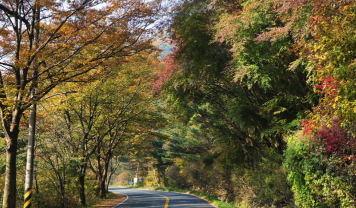 치악산 등산코스&amp;#44; 지도&amp;#44; 추천 등 3분 총정리
