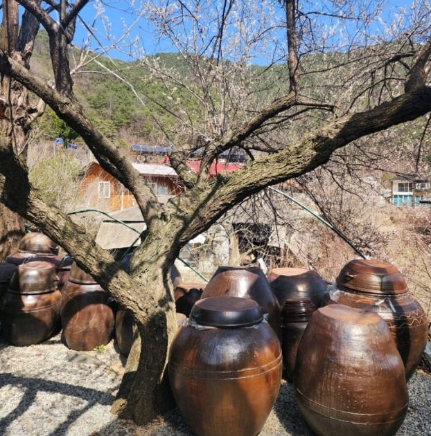 사노라면-성주-시골맛집-산골밥집미자
